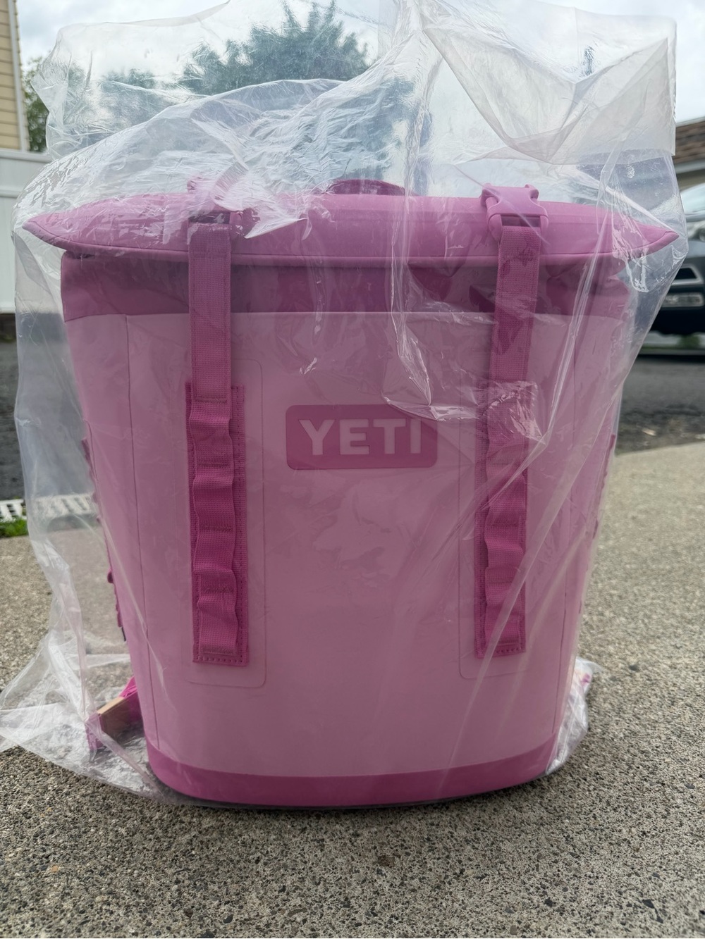 Yeti Power Pink M12 Soft Cooler